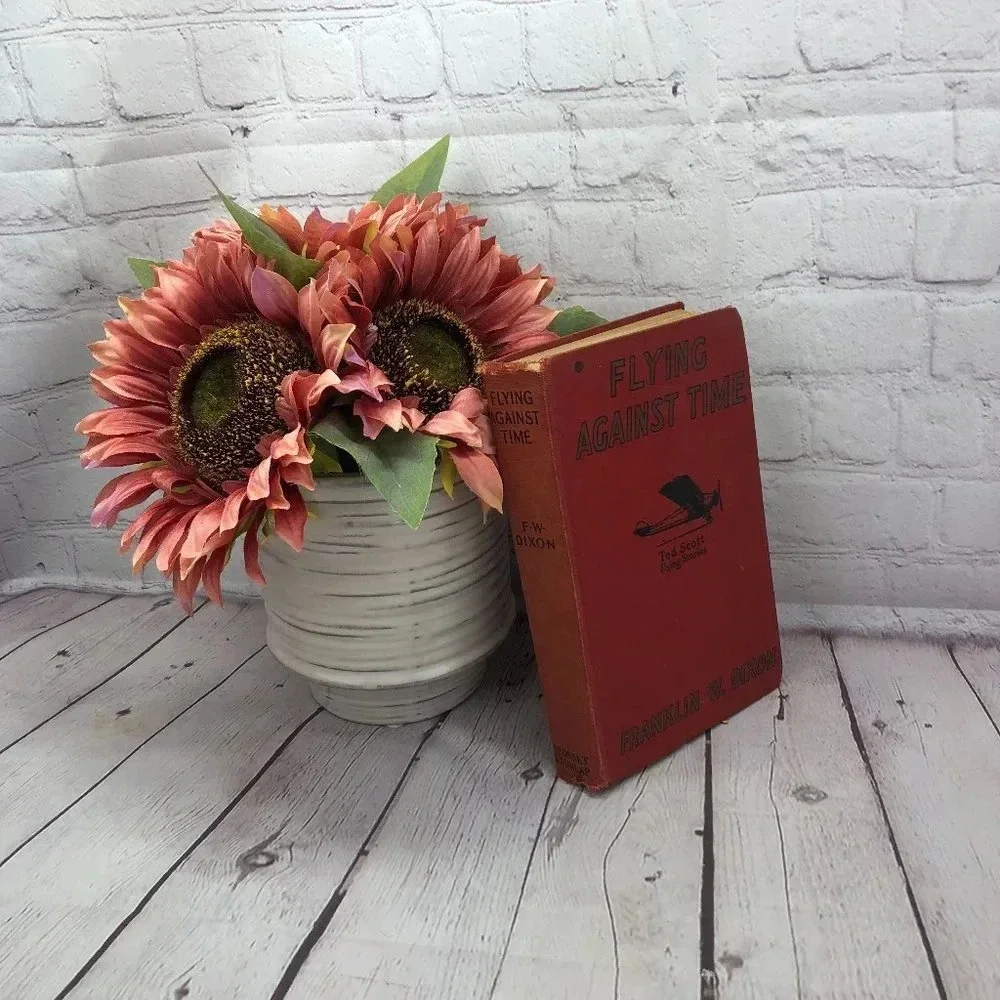vintage 1930 Flying against time book